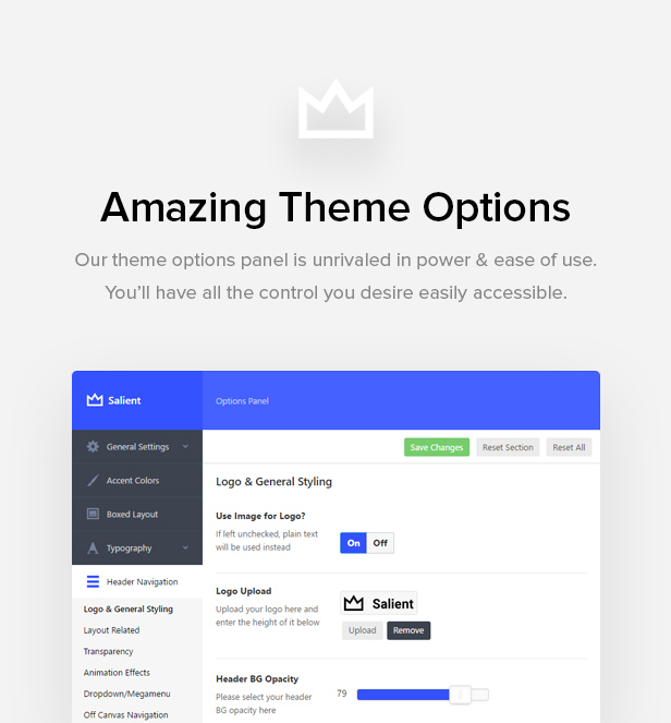 theme options