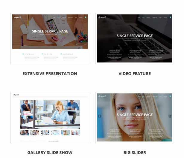 Skywell - MultiPurpose Adobe Muse Template - 27