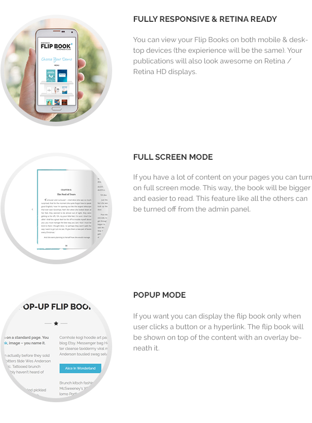 Responsive FlipBook Plugin - 9