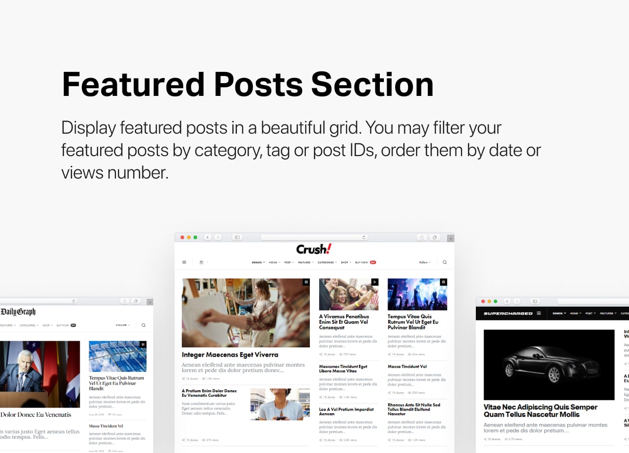 Spotlight - Feature-Packed News & Magazine WordPress Theme - 3