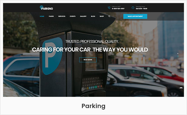 Parking WordPress theme