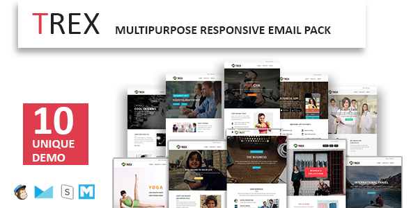 Multiple Responsive Email Template - 1