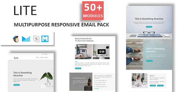 Multiple Responsive Email Template - 2