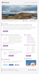 Catch Email Template - 2