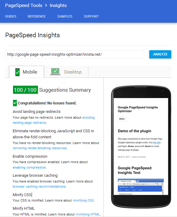 Google PageSpeed Insights Optimizer - 2