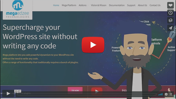 Introduction to Mega WordPress Controller