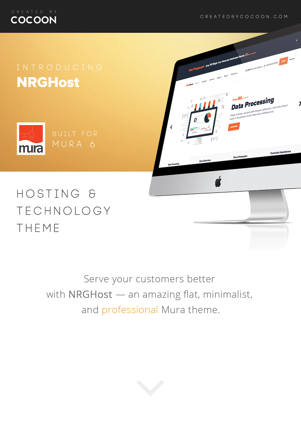 NRGHost - Hosting, Tech & Service Provider Theme - 3