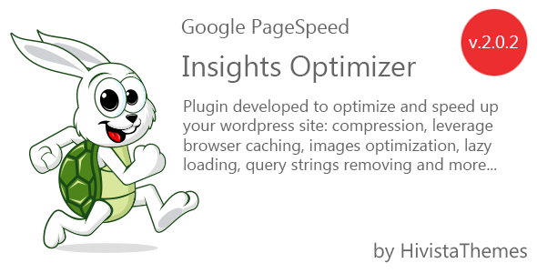 Google PageSpeed Insights Optimizer