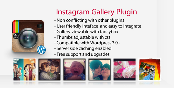 Instagram Gallery - Wordpress Plugin