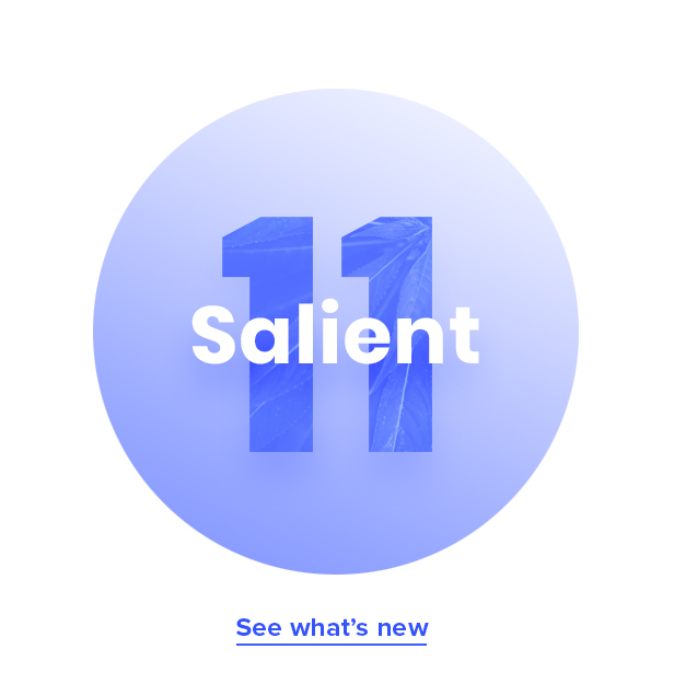 Salient - Responsive Multi-Purpose Theme - 1