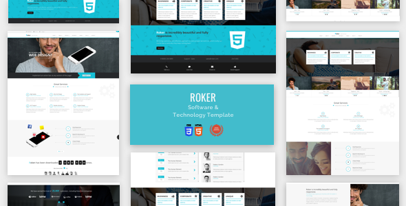 Software & Technology  Html Theme- Roker