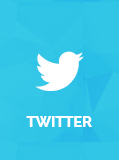 Twitter Social Logo for Jewel Theme