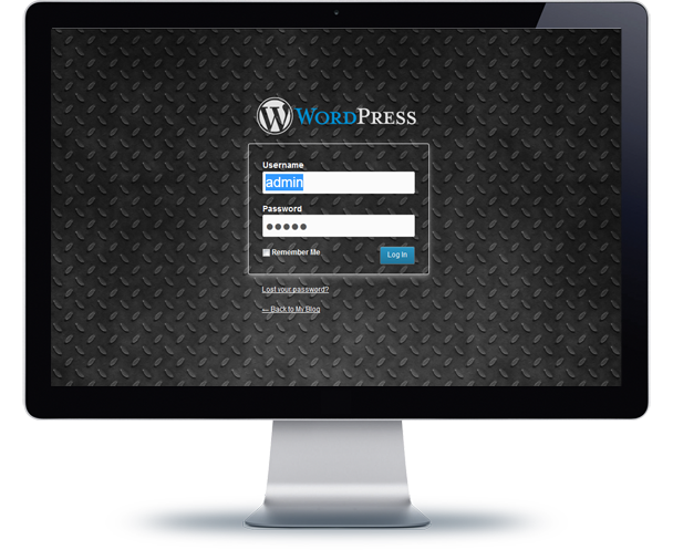 WordPress Custom Login Theme Page - 11