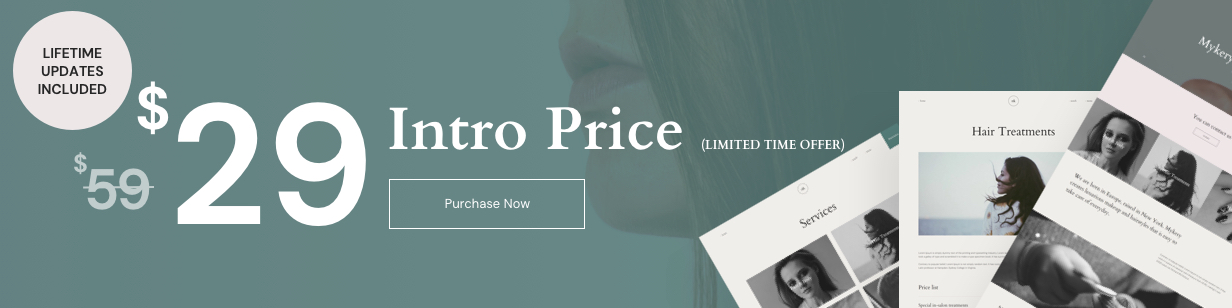 Mykery WordPress Intro Price