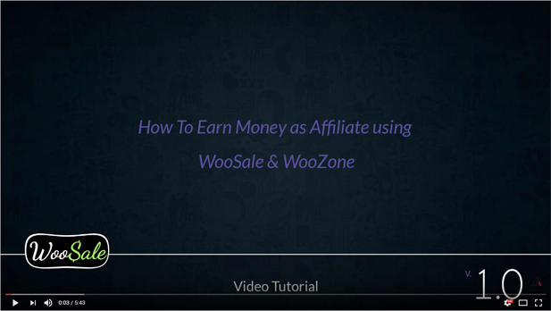 WooCommerce Amazon Affiliates - WordPress Plugin - 29