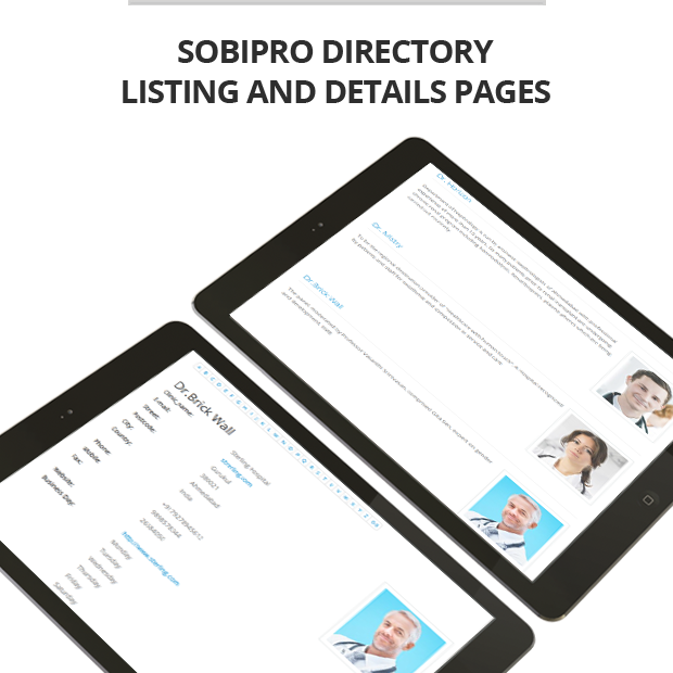 Sobi directory theme