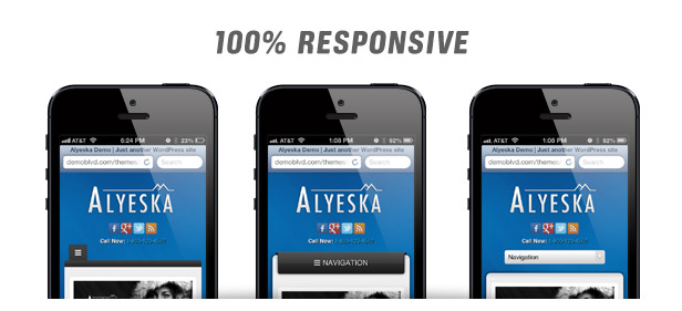 Alyeska Responsive WordPress Theme - 6