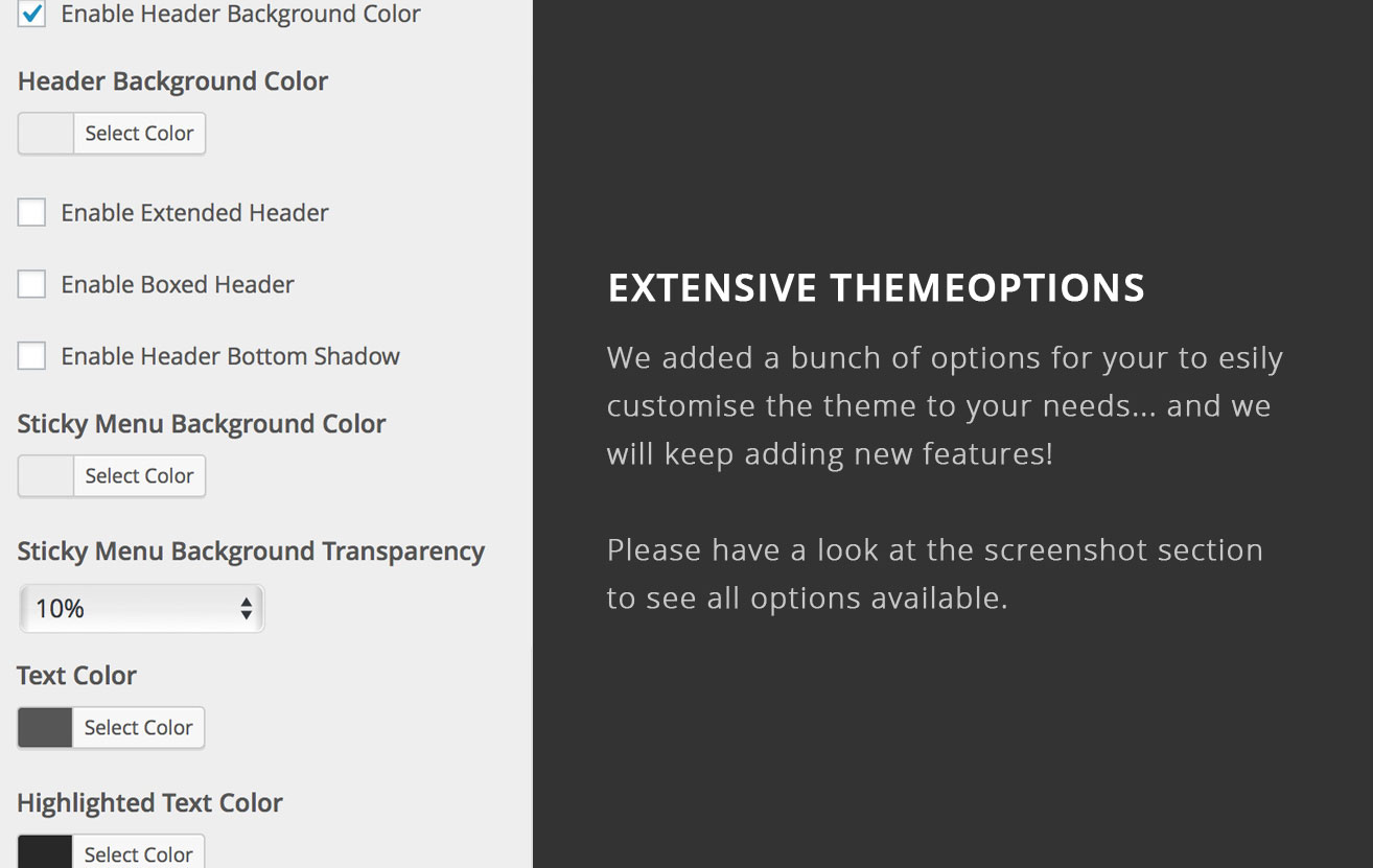 Extensive Themeoptions