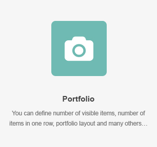 Portfolio Element