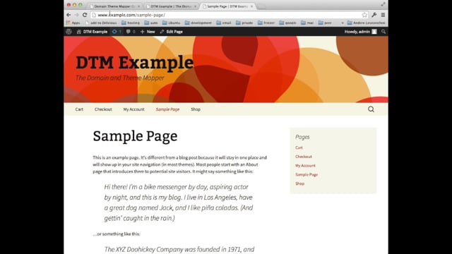 Domain and Theme Mapper - 1