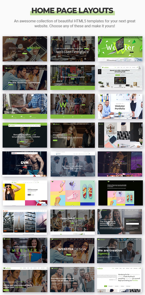 Webster - Responsive Multi-purpose HTML5 Template - 6