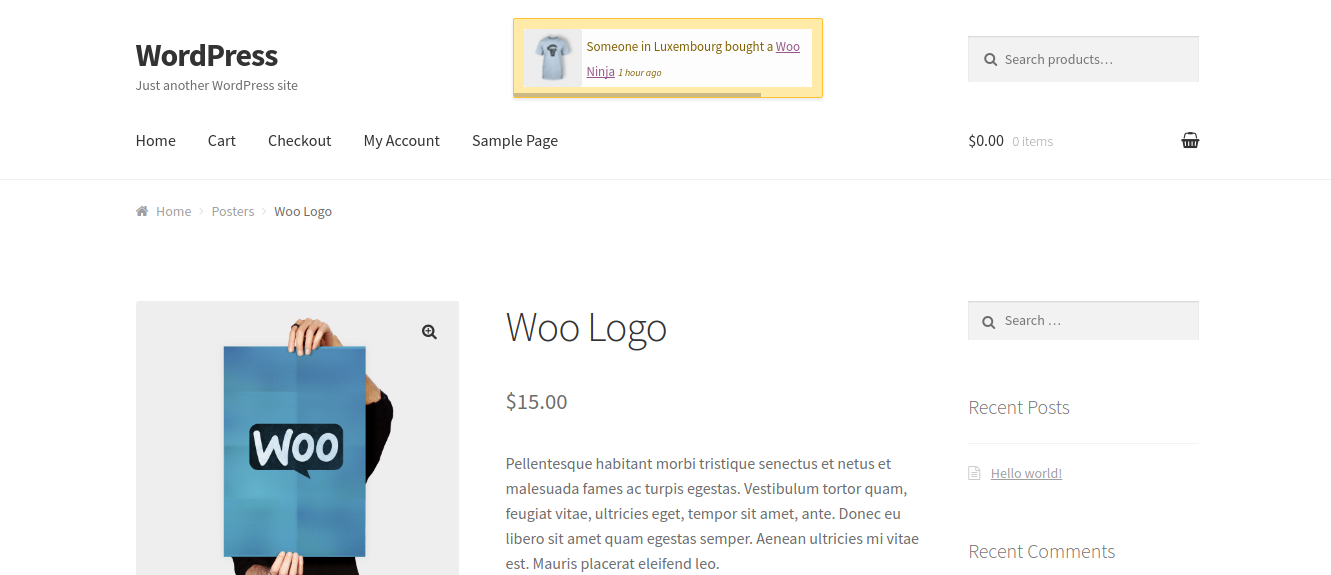 WooPlugins - Fake Recent Sales Notifications for Woocommerce - 4