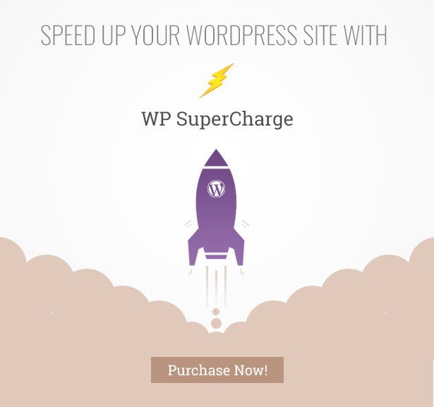 Wp Super Charge - Plugin for Google Page Speed Insights