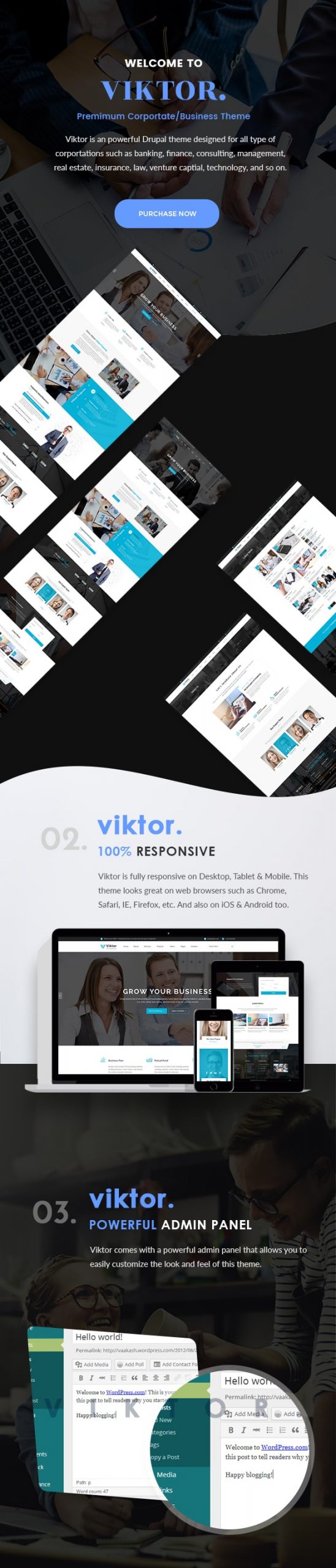 Viktor - Responsive Corporate Drupal Template - 1