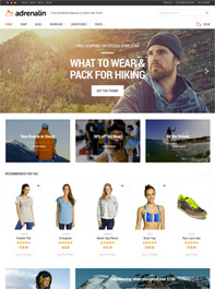 Captiva - Responsive WordPress WooCommerce Theme - 5