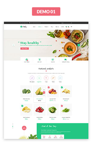 VG iFoody - Responsive WooCommerce WordPress Theme - 7