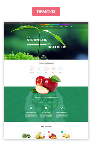 VG iFoody - Responsive WooCommerce WordPress Theme - 11