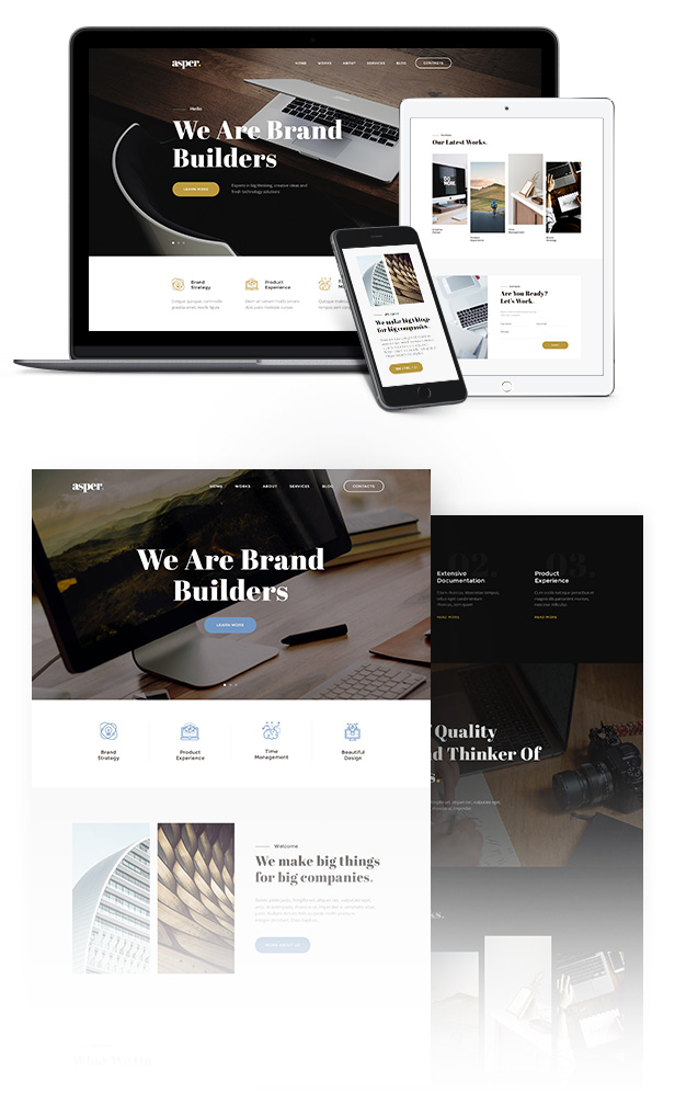 Asper - Responsive Multipurpose Adobe Muse Theme - 1