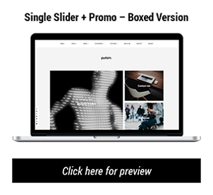 Purism - WordPress Blog Theme - 11