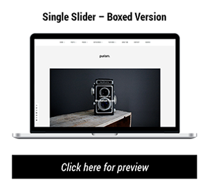 Purism - WordPress Blog Theme - 9