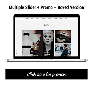 Purism - WordPress Blog Theme - 15