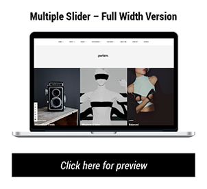 Purism - WordPress Blog Theme - 14