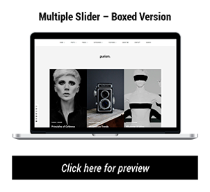 Purism - WordPress Blog Theme - 13