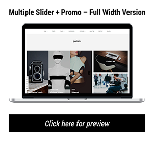 Purism - WordPress Blog Theme - 16