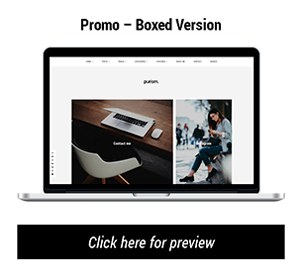 Purism - WordPress Blog Theme - 17