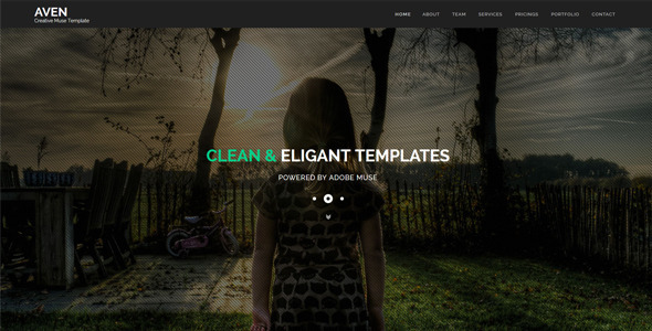 Ether - One Page Multipurpose MUSE Template - 6