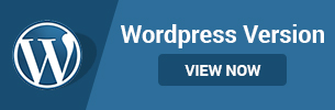 Wordpress Version
