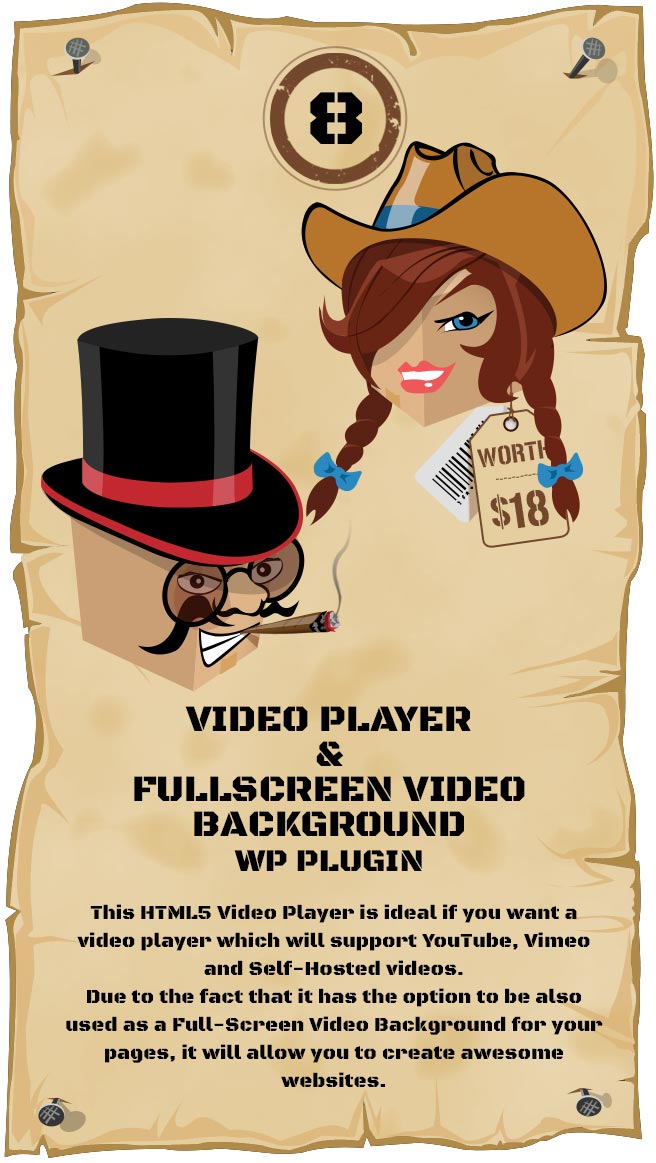 Video Player & FullScreen Video Background - WP Plugin