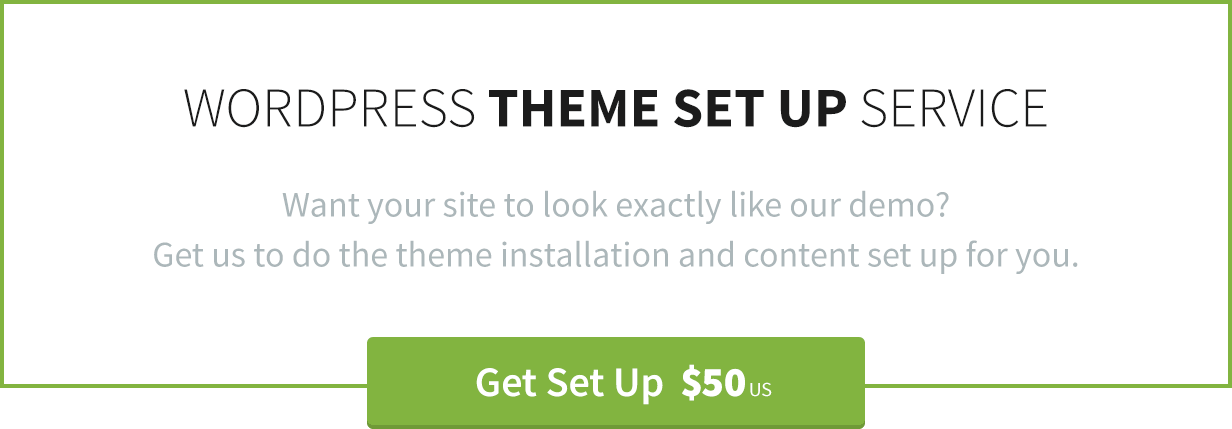 WordPress Theme Instalation by Theme Canon