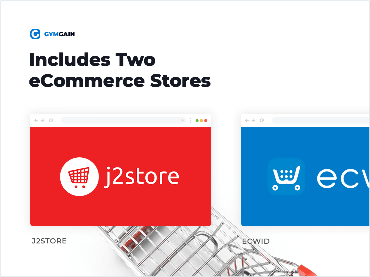 Includes Two eCommerce Stores