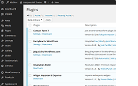 Popular WordPress Plugins Supported