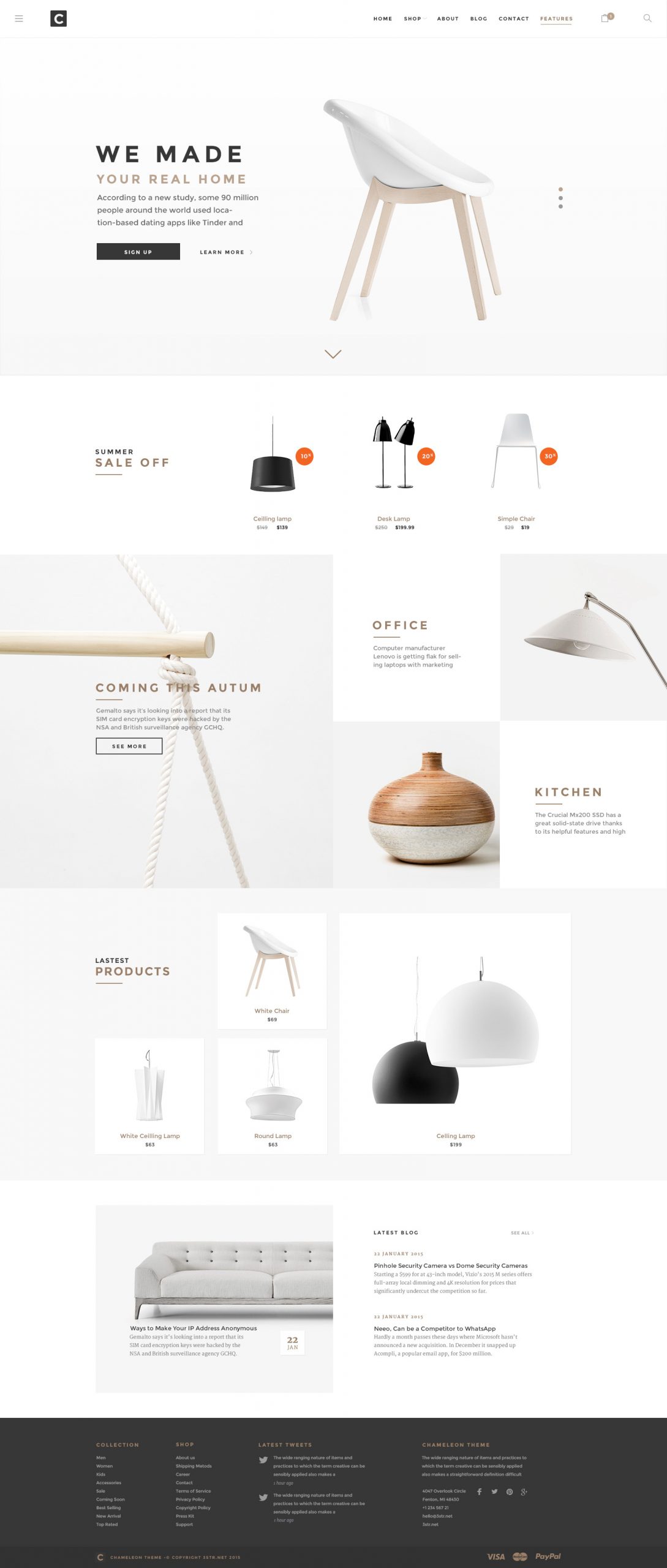 Chameleon Shop PSD Template Preview