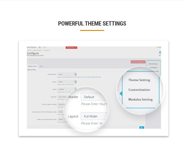 Fashion Prestashop Theme- Theme Control Panel