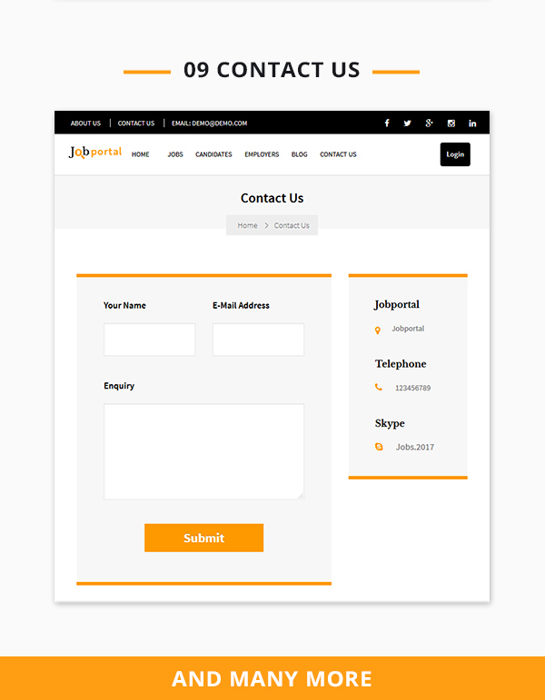 Job Portal Script contact us page 