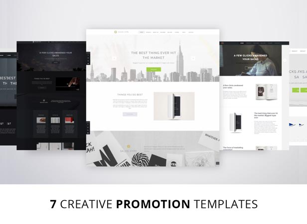 SALESHYPE - Modern Muse Product Promotion Template - 5StarThemes