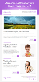 Ninja Mailer - Premium Email Template - 3